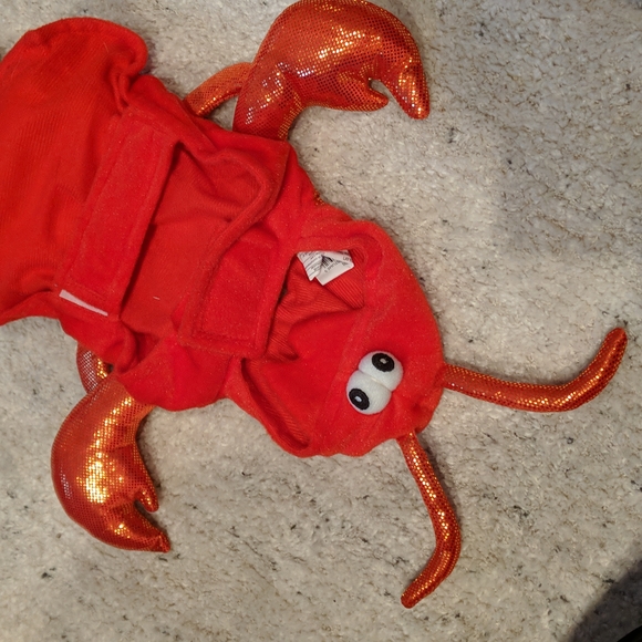 Lobster Costume for Small Dog or Cat - Picture 5 of 10